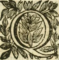 An illustration from Villa Borghese fuori di Porta Pinciana (1650)