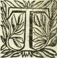 An illustration from Villa Borghese fuori di Porta Pinciana (1650)