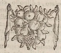 Picture 4 of 18 from Villa Borghese fvori di Porta Pinciana : con l'ornamenti che si osseruano nel di lei palazzo e con le figure delle statue più singolare : all'illustriss. ... d. Gio:Battista Borghese. (1700), leaf 115