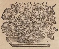 Picture 7 of 18 from Villa Borghese fvori di Porta Pinciana : con l'ornamenti che si osseruano nel di lei palazzo e con le figure delle statue più singolare : all'illustriss. ... d. Gio:Battista Borghese. (1700), leaf 211