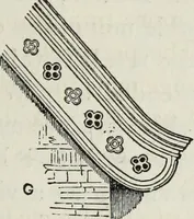 Picture 59 of 203 from Villas and cottages (1874), leaf 110