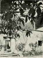 Picture 45 of 309 from Villas of Florence and Tuscany (1922), leaf 113