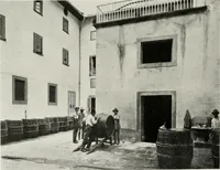 Picture 141 of 309 from Villas of Florence and Tuscany (1922), leaf 227