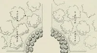 An illustration from Villas of Florence and Tuscany (1922)