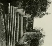 An illustration from Villas of Florence and Tuscany (1922)