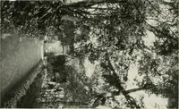 An illustration from Villas of Florence and Tuscany (1922)