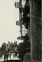 An illustration from Villas of Florence and Tuscany (1922)