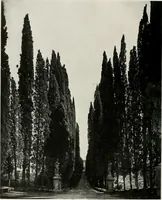 An illustration from Villas of Florence and Tuscany (1922)
