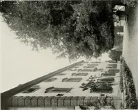 Picture 246 of 309 from Villas of Florence and Tuscany (1922), leaf 339