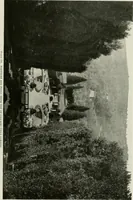 An illustration from Villas of Florence and Tuscany (1922)