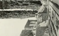 An illustration from Villas of Florence and Tuscany (1922)