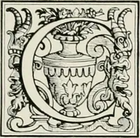 Picture 8 of 309 from Villas of Florence and Tuscany (1922), leaf 42