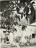 An illustration from Villas of Florence and Tuscany (1922)
