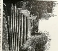 An illustration from Villas of Florence and Tuscany (1922)