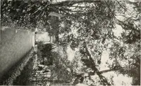 An illustration from Villas of Florence and Tuscany (1922)