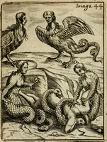 Picture 55 of 101 from Vincentii Chartarii Rhegiensis Imagines deorum, qui ab antiquis colebantur : unâ cum earum declaratione & historia in qua simulacra, ritus, caeremoniae magnaque ex parte veterum religio explicatur ... : hinc inde (1687), leaf 342