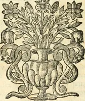 An illustration from Vindex Neapolitanae nobilitatis Caroli Borrelli cleric. regul. minor., animaduersio in Francisci Aelii Marchesii librum De Neapolitanis familiis (1653)