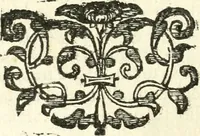 An illustration from Vindex Neapolitanae nobilitatis Caroli Borrelli cleric. regul. minor., animaduersio in Francisci Aelii Marchesii librum De Neapolitanis familiis (1653)