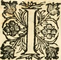 An illustration from Vindex Neapolitanae nobilitatis Caroli Borrelli cleric. regul. minor., animaduersio in Francisci Aelii Marchesii librum De Neapolitanis familiis (1653)