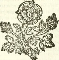 An illustration from Vindex Neapolitanae nobilitatis Caroli Borrelli cleric. regul. minor., animaduersio in Francisci Aelii Marchesii librum De Neapolitanis familiis (1653)
