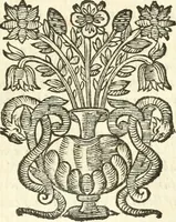 An illustration from Vindex Neapolitanae nobilitatis Caroli Borrelli cleric. regul. minor., animaduersio in Francisci Aelii Marchesii librum De Neapolitanis familiis (1653)