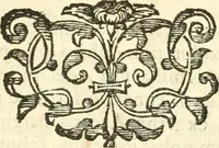 An illustration from Vindex Neapolitanae nobilitatis Caroli Borrelli cleric. regul. minor., animaduersio in Francisci Aelii Marchesii librum De Neapolitanis familiis (1653)