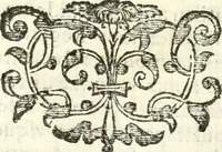 An illustration from Vindex Neapolitanae nobilitatis Caroli Borrelli cleric. regul. minor., animaduersio in Francisci Aelii Marchesii librum De Neapolitanis familiis (1653)