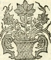 An illustration from Vindex Neapolitanae nobilitatis Caroli Borrelli cleric. regul. minor., animaduersio in Francisci Aelii Marchesii librum De Neapolitanis familiis (1653)