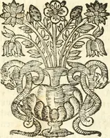 An illustration from Vindex Neapolitanae nobilitatis Caroli Borrelli cleric. regul. minor., animaduersio in Francisci Aelii Marchesii librum De Neapolitanis familiis (1653)