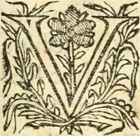 An illustration from Vindex Neapolitanae nobilitatis Caroli Borrelli cleric. regul. minor., animaduersio in Francisci Aelii Marchesii librum De Neapolitanis familiis (1653)