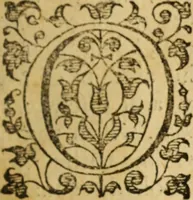 Picture 1 of 3 from Vindiciae evangelicae, or, The mystery of the Gospel vindicated, and Socinianisme examined : in the consideration, and confutation of a catechisme, called A Scripture catechisme, written by J. Biddle, and the catechisme of Valentinus Smalcius, commonly called the Racovian catechisme. With the vindication of the testimonies of Scripture ... from the perverse expositions and interpretations of them, by Hugo Grotius in his Annotations on the Bible .. (1655), leaf 11