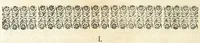 An illustration from Innocentia vindicata : in qua gravissimis argumentis ex S. Thoma petitis ostenditur, angelicum doctorem pro immaculato conceptu Deiparae sensisse & scripsisse ... (1698)