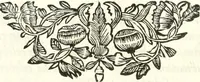 An illustration from Innocentia vindicata : in qua gravissimis argumentis ex S. Thoma petitis ostenditur, angelicum doctorem pro immaculato conceptu Deiparae sensisse & scripsisse ... (1698)