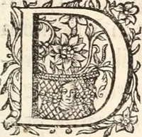 An illustration from Innocentia vindicata : in qua gravissimis argumentis ex S. Thoma petitis ostenditur, angelicum doctorem pro immaculato conceptu Deiparae sensisse & scripsisse ... (1698)