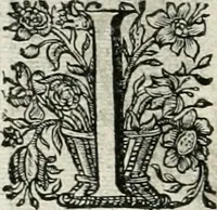 An illustration from Innocentia vindicata : in qua gravissimis argumentis ex S. Thoma petitis ostenditur, angelicum doctorem pro immaculato conceptu Deiparae sensisse & scripsisse ... (1698)