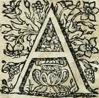 An illustration from Innocentia vindicata : in qua gravissimis argumentis ex S. Thoma petitis ostenditur, angelicum doctorem pro immaculato conceptu Deiparae sensisse & scripsisse ... (1698)