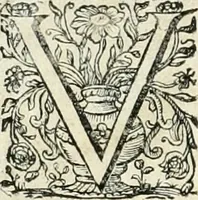 Picture 24 of 127 from Innocentia vindicata : in qua gravissimis argumentis ex S. Thoma petitis ostenditur, angelicum doctorem pro immaculato conceptu Deiparae sensisse & scripsisse ... (1698), leaf 143