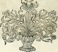 An illustration from Innocentia vindicata : in qua gravissimis argumentis ex S. Thoma petitis ostenditur, angelicum doctorem pro immaculato conceptu Deiparae sensisse & scripsisse ... (1698)