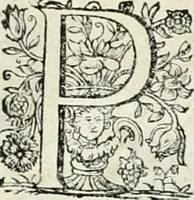 Picture 27 of 127 from Innocentia vindicata : in qua gravissimis argumentis ex S. Thoma petitis ostenditur, angelicum doctorem pro immaculato conceptu Deiparae sensisse & scripsisse ... (1698), leaf 145
