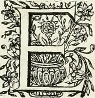 An illustration from Innocentia vindicata : in qua gravissimis argumentis ex S. Thoma petitis ostenditur, angelicum doctorem pro immaculato conceptu Deiparae sensisse & scripsisse ... (1698)