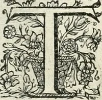 An illustration from Innocentia vindicata : in qua gravissimis argumentis ex S. Thoma petitis ostenditur, angelicum doctorem pro immaculato conceptu Deiparae sensisse & scripsisse ... (1698)
