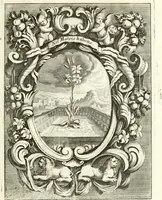 An illustration from Innocentia vindicata : in qua gravissimis argumentis ex S. Thoma petitis ostenditur, angelicum doctorem pro immaculato conceptu Deiparae sensisse & scripsisse ... (1698)