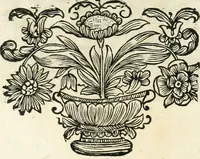 An illustration from Innocentia vindicata : in qua gravissimis argumentis ex S. Thoma petitis ostenditur, angelicum doctorem pro immaculato conceptu Deiparae sensisse & scripsisse ... (1698)