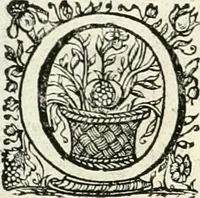 Picture 45 of 127 from Innocentia vindicata : in qua gravissimis argumentis ex S. Thoma petitis ostenditur, angelicum doctorem pro immaculato conceptu Deiparae sensisse & scripsisse ... (1698), leaf 159