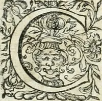 An illustration from Innocentia vindicata : in qua gravissimis argumentis ex S. Thoma petitis ostenditur, angelicum doctorem pro immaculato conceptu Deiparae sensisse & scripsisse ... (1698)
