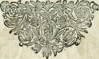 An illustration from Innocentia vindicata : in qua gravissimis argumentis ex S. Thoma petitis ostenditur, angelicum doctorem pro immaculato conceptu Deiparae sensisse & scripsisse ... (1698)