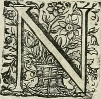 An illustration from Innocentia vindicata : in qua gravissimis argumentis ex S. Thoma petitis ostenditur, angelicum doctorem pro immaculato conceptu Deiparae sensisse & scripsisse ... (1698)