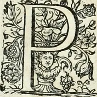 An illustration from Innocentia vindicata : in qua gravissimis argumentis ex S. Thoma petitis ostenditur, angelicum doctorem pro immaculato conceptu Deiparae sensisse & scripsisse ... (1698)