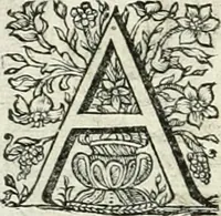 An illustration from Innocentia vindicata : in qua gravissimis argumentis ex S. Thoma petitis ostenditur, angelicum doctorem pro immaculato conceptu Deiparae sensisse & scripsisse ... (1698)