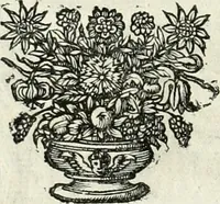 An illustration from Innocentia vindicata : in qua gravissimis argumentis ex S. Thoma petitis ostenditur, angelicum doctorem pro immaculato conceptu Deiparae sensisse & scripsisse ... (1698)